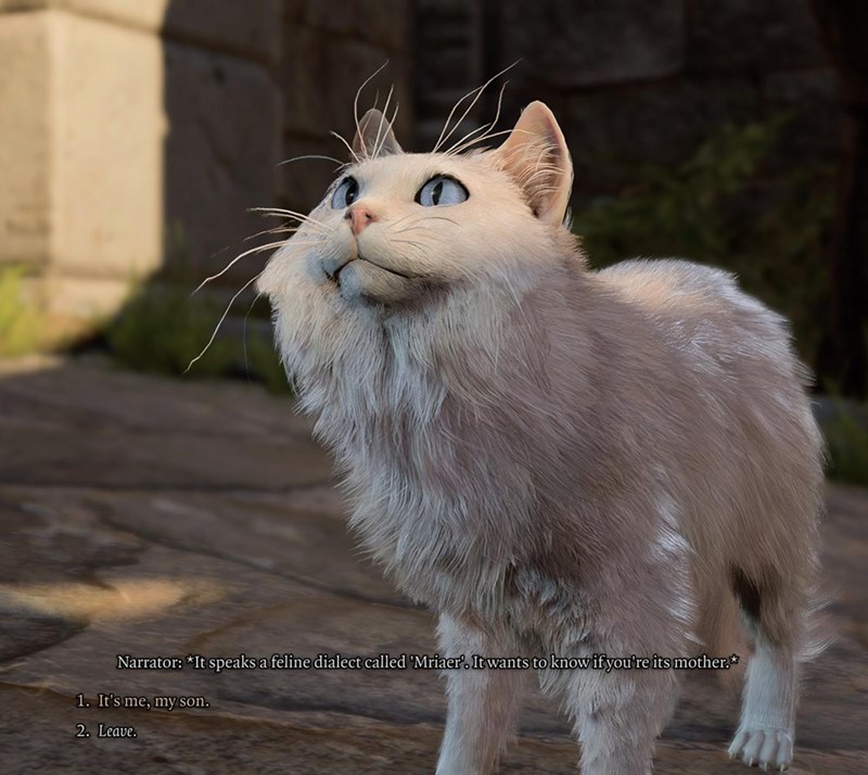 Narrator: *It speaks a feline dialect called 'Mriaer'. It wants to know if you're its mother.* 1. It's me, my son. 2. Leave.