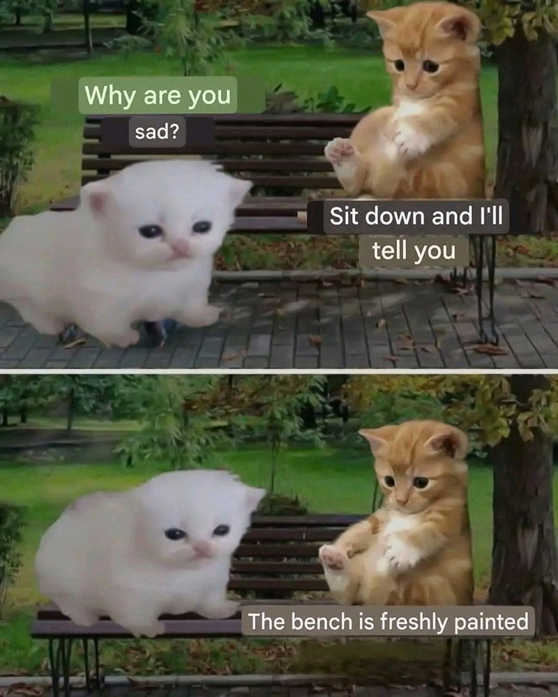 Why are you sad? Sit down and I'll tell you The bench is freshly painted