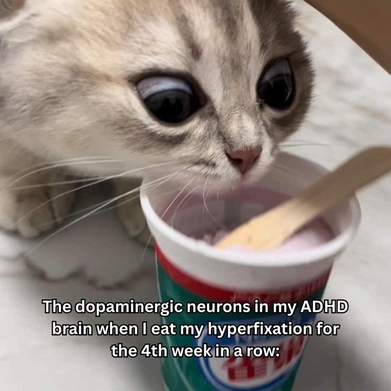 The dopaminergic neurons in my ADHD brain when I eat my hyperfixation for the 4th week in a row: