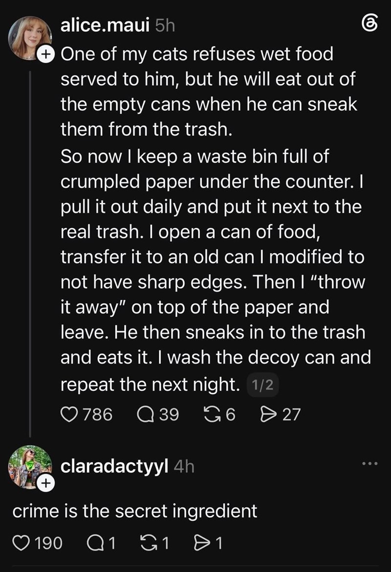 alice.maui 5h + One of my cats refuses wet food served to him, but he will eat out of the empty cans when he can sneak them from the trash. So now I keep a waste bin full of crumpled paper under the counter. I pull it out daily and put it next to the real trash. I open a can of food, transfer it to an old can I modified to not have sharp edges. Then I "throw it away" on top of the paper and leave. He then sneaks in to the trash and eats it. I wash the decoy can and repeat the next night. 1/2 786