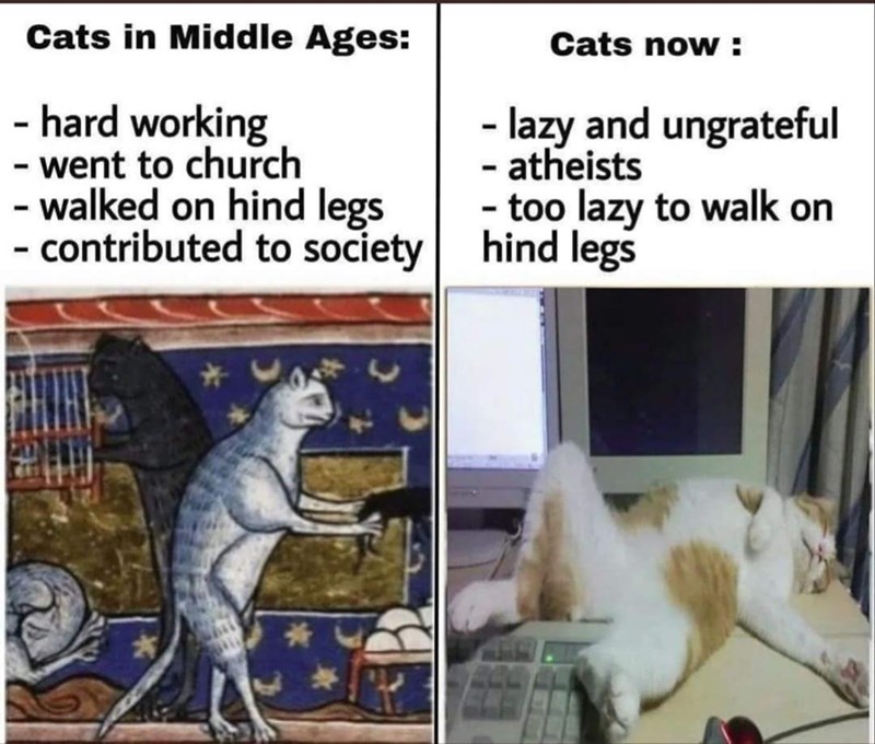 Cats in Middle Ages: - hard working - went to church - walked on hind legs - contributed to society - Cats now: lazy and ungrateful - atheists - too lazy to walk on hind legs