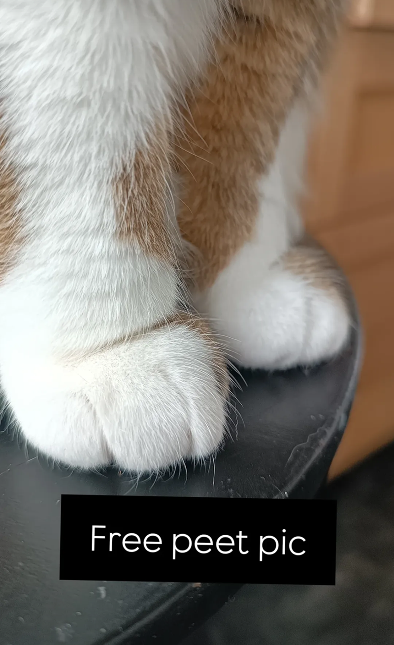 Free peet pic