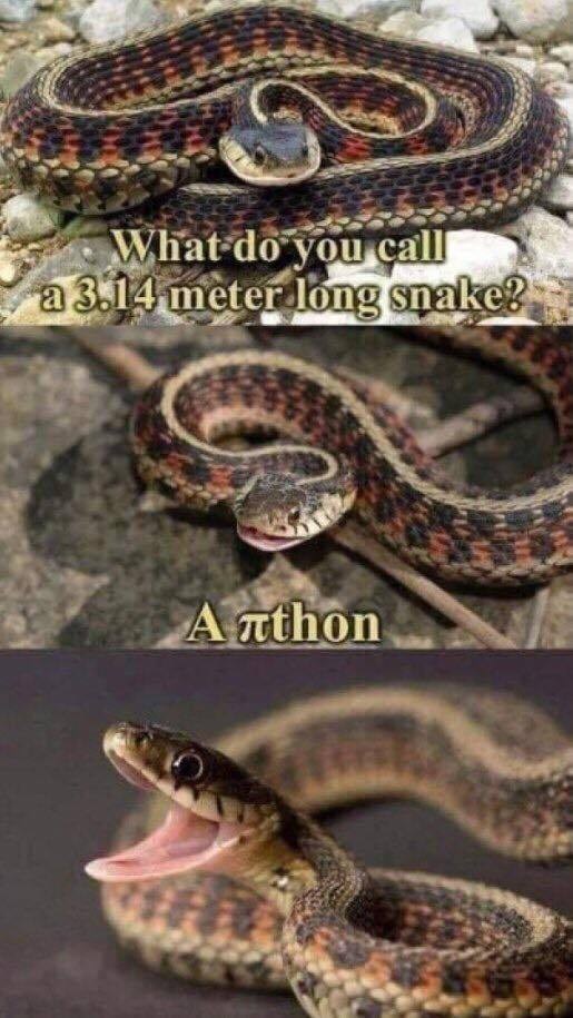 What do you call a 3.14 meter long snake? Anthon