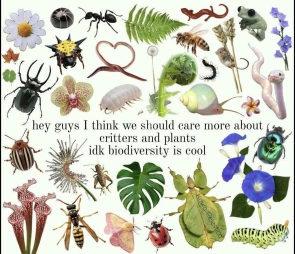 d hey guys I think we should care more about critters and plants idk biodiversity is cool KawailCelestica