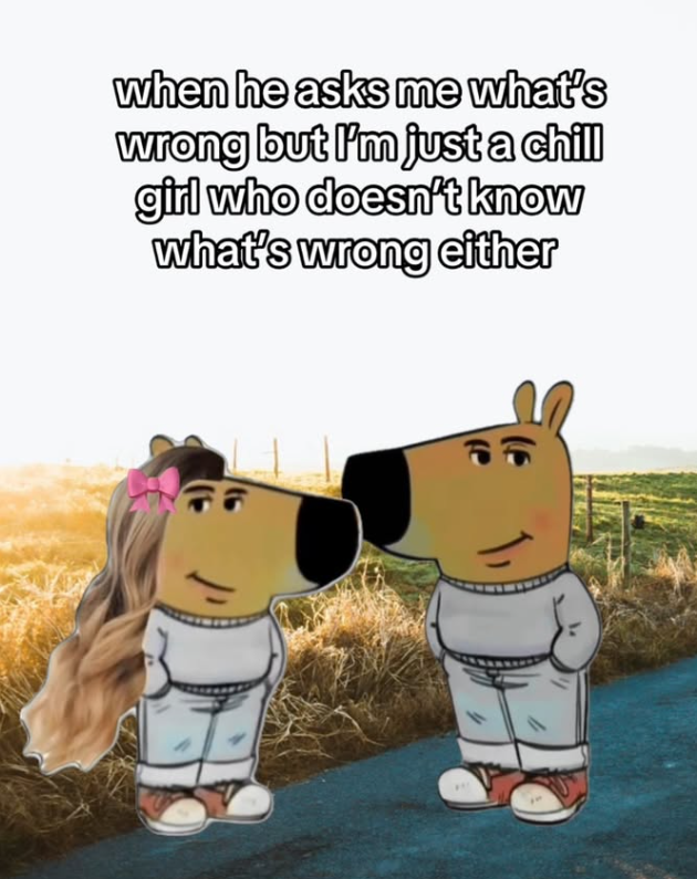 when he asks me what's wrong but I'm just a chill girl who doesn't know what's wrong either