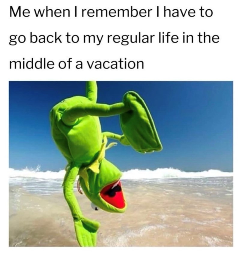 Me when I remember I have to go back to my regular life in the middle of a vacation