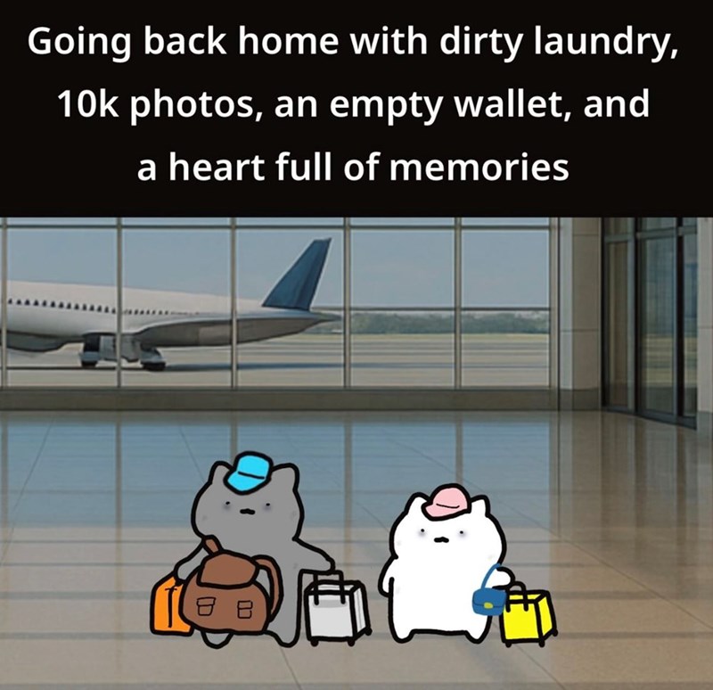 Going back home with dirty laundry, 10k photos, an empty wallet, and a heart full of memories 8 B