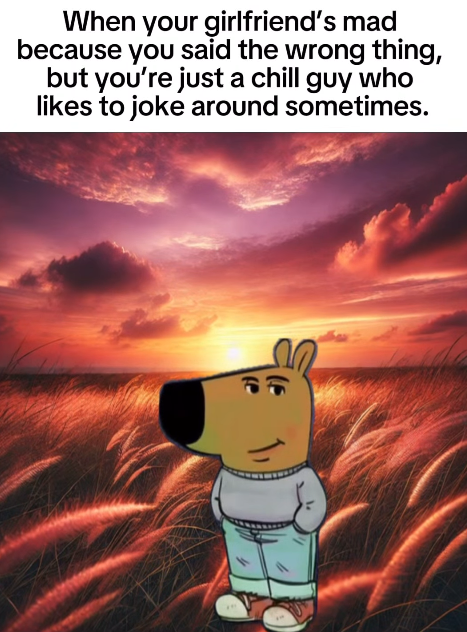 When your girlfriend's mad because you said the wrong thing, but you're just a chill guy who likes to joke around sometimes.