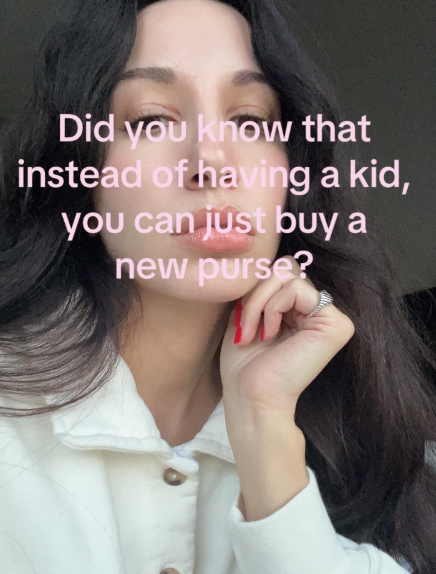 Did you know that instead of having a kid, you can just buy a new purse?