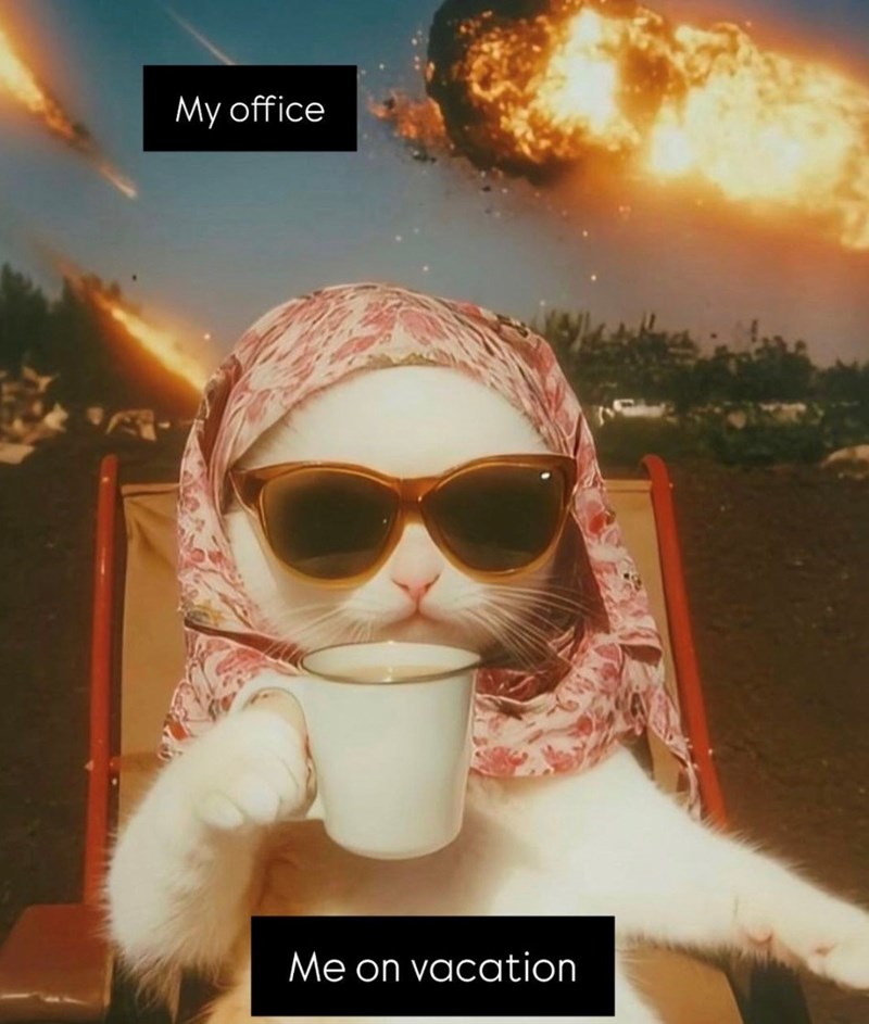 My office Me on vacation