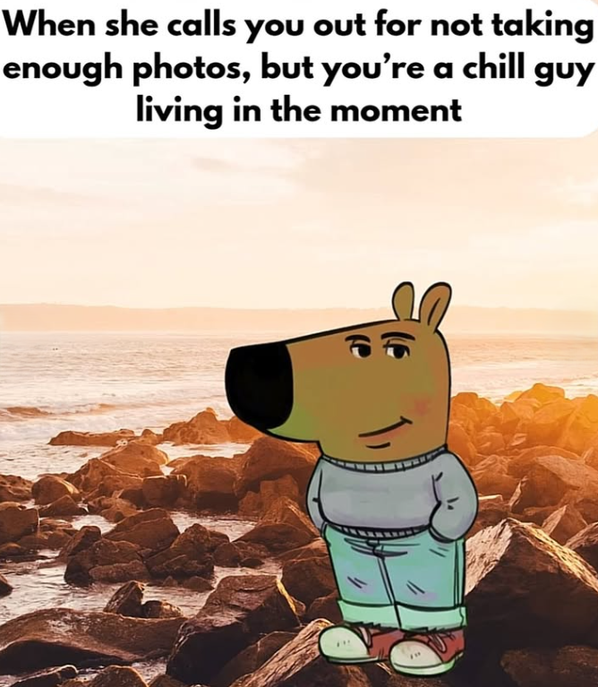 When she calls you out for not taking enough photos, but you're a chill guy living in the moment