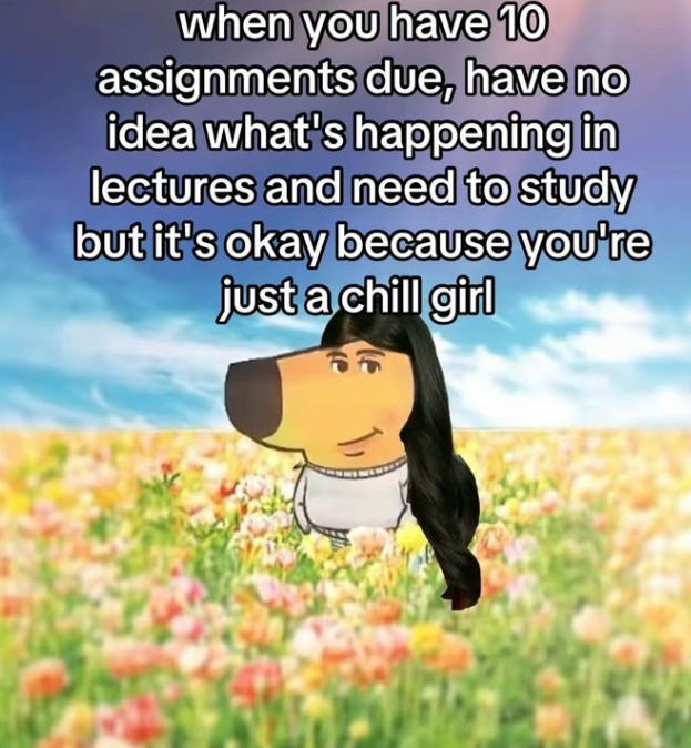 when you have 10 assignments due, have no idea what's happening in lectures and need to study but it's okay because you're just a chill girl