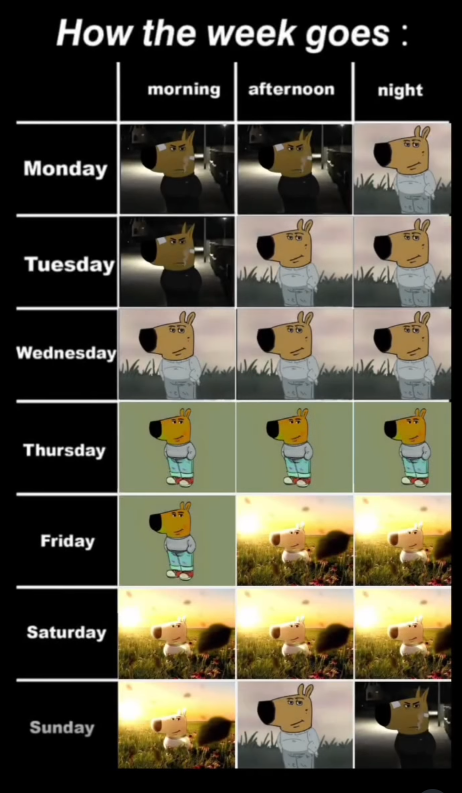 How the week goes: morning afternoon night Monday Tuesday Wednesday Thursday Friday Saturday Sunday