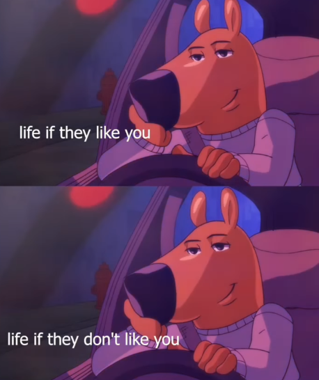 life if they like you life if they don't like you