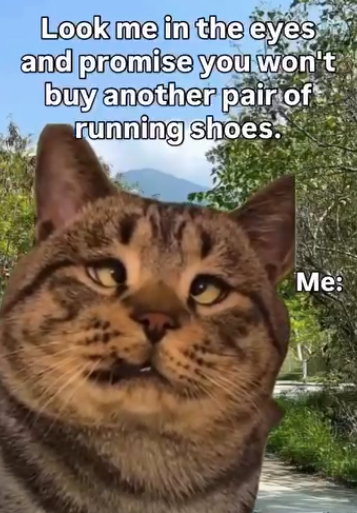 Look me in the eyes and promise you won't buy another pair of running shoes. Me: