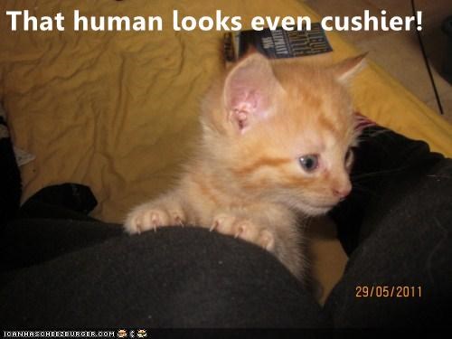 Cheezburger Image 10637826048