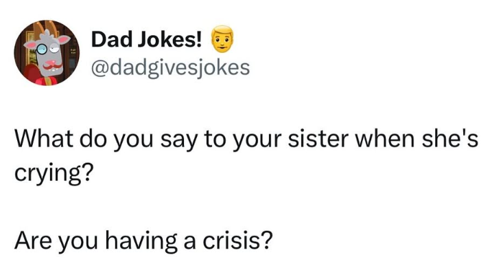 Dad Jokes! @dadgivesjokes What do you say to your sister when she's crying? Are you having a crisis?