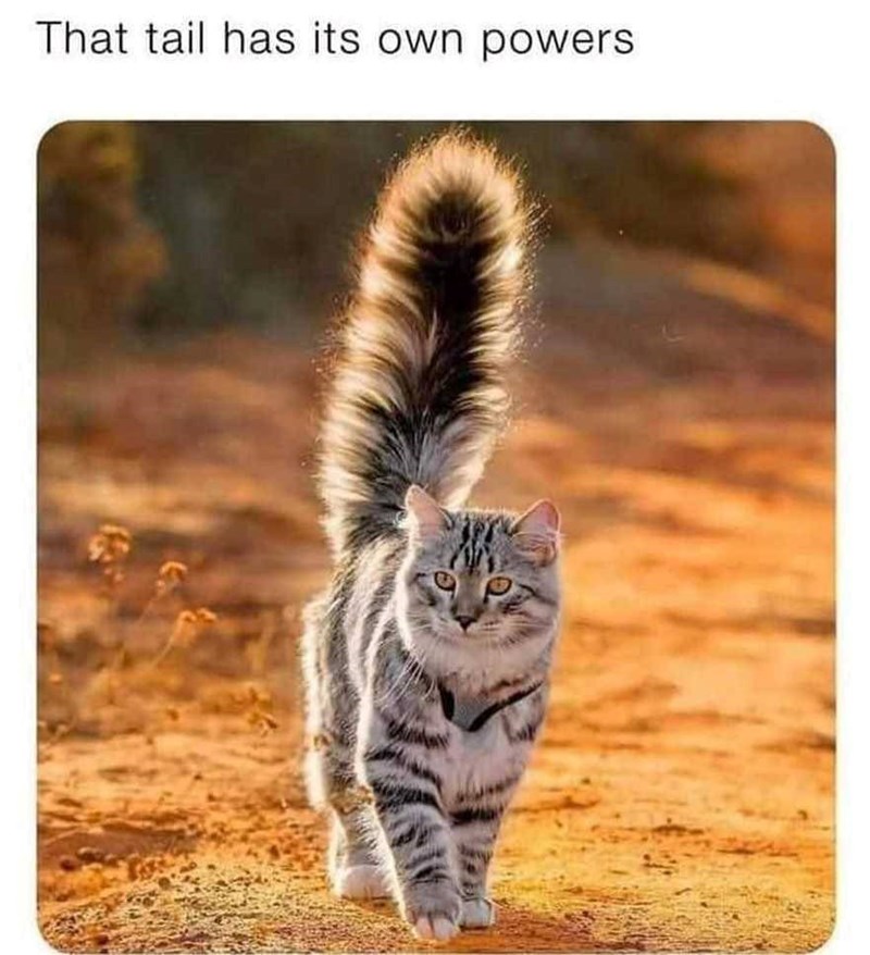 That tail has its own powers
