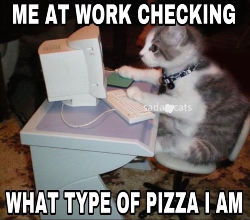 ME AT WORK CHECKING sada cats WHAT TYPE OF PIZZA I AM