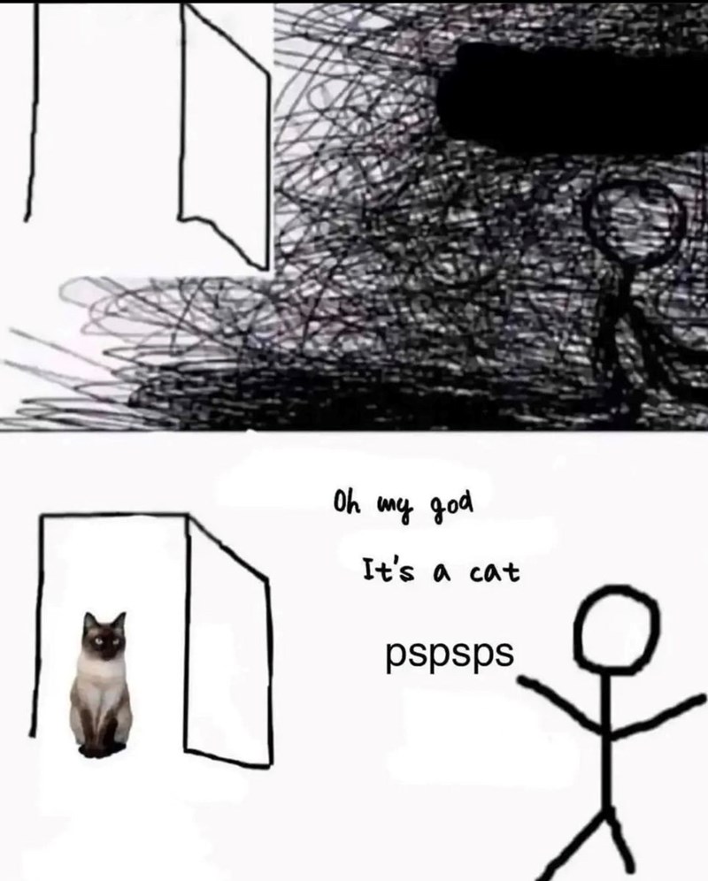 Oh my god It's a cat pspsps