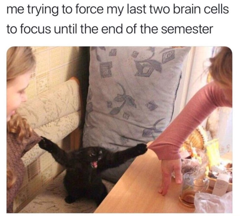me trying to force my last two brain cells to focus until the end of the semester
