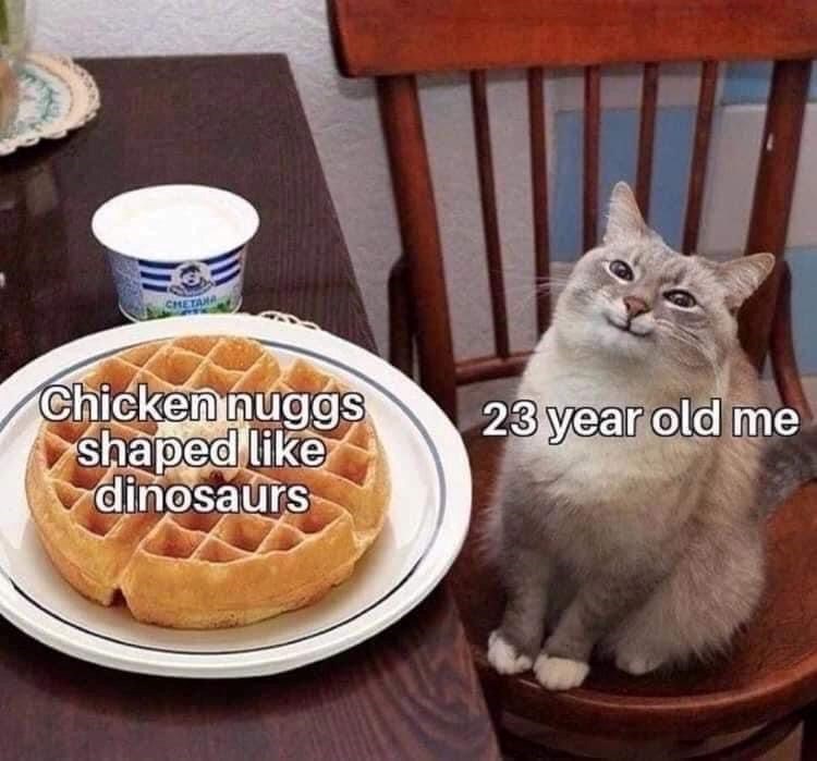 CHETANA Chicken nuggs shaped like dinosaurs 23 year old me