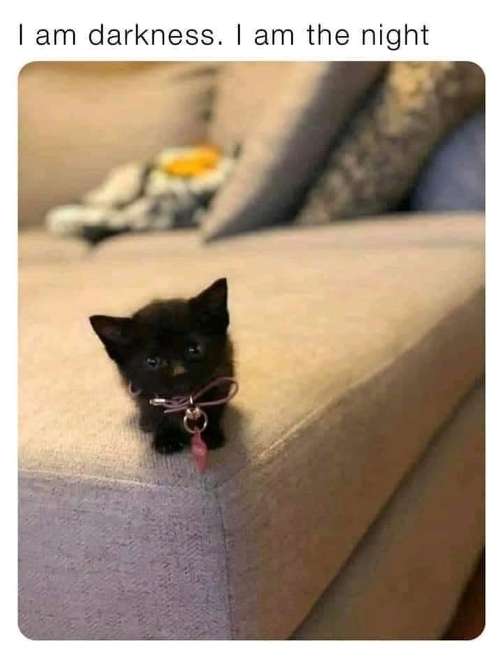 I am darkness. I am the night
