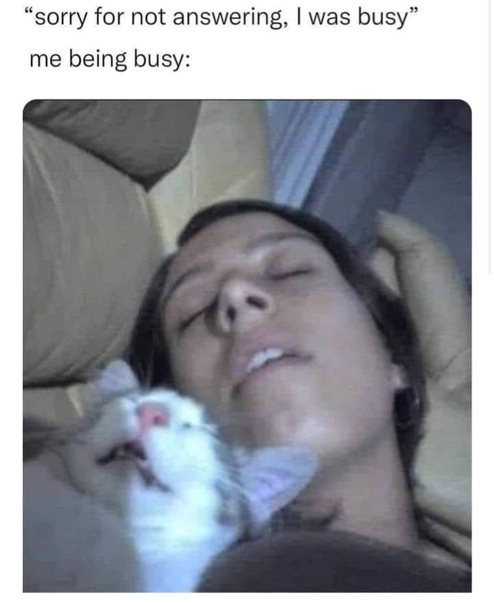 "sorry for not answering, I was busy" me being busy: