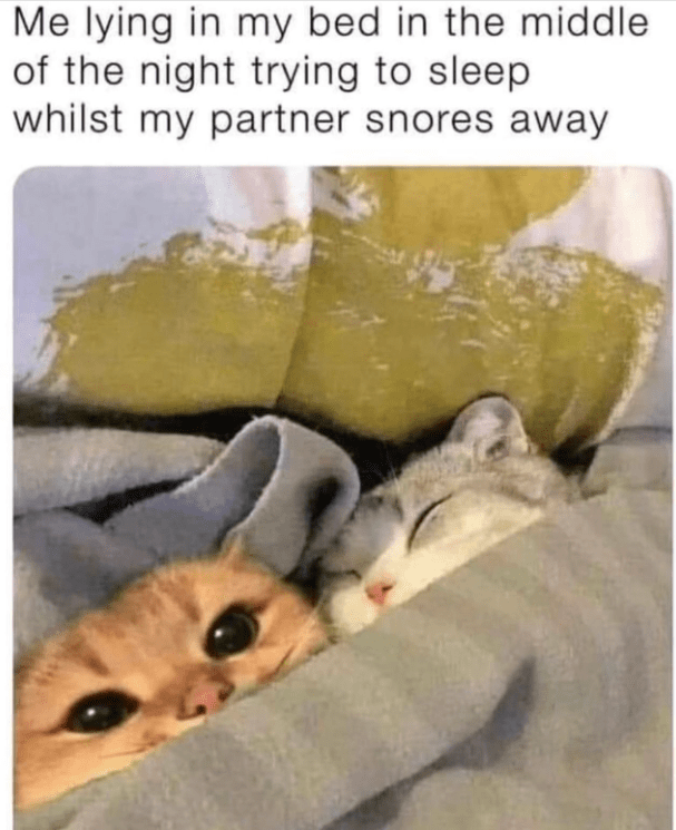 Me lying in my bed in the middle of the night trying to sleep. whilst my partner snores away