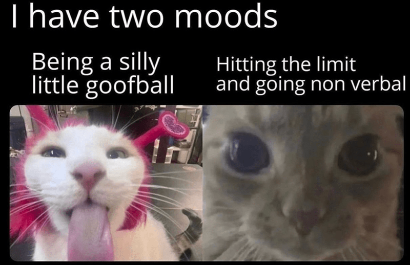 I have two moods Being a silly little goofball Hitting the limit and going non verbal