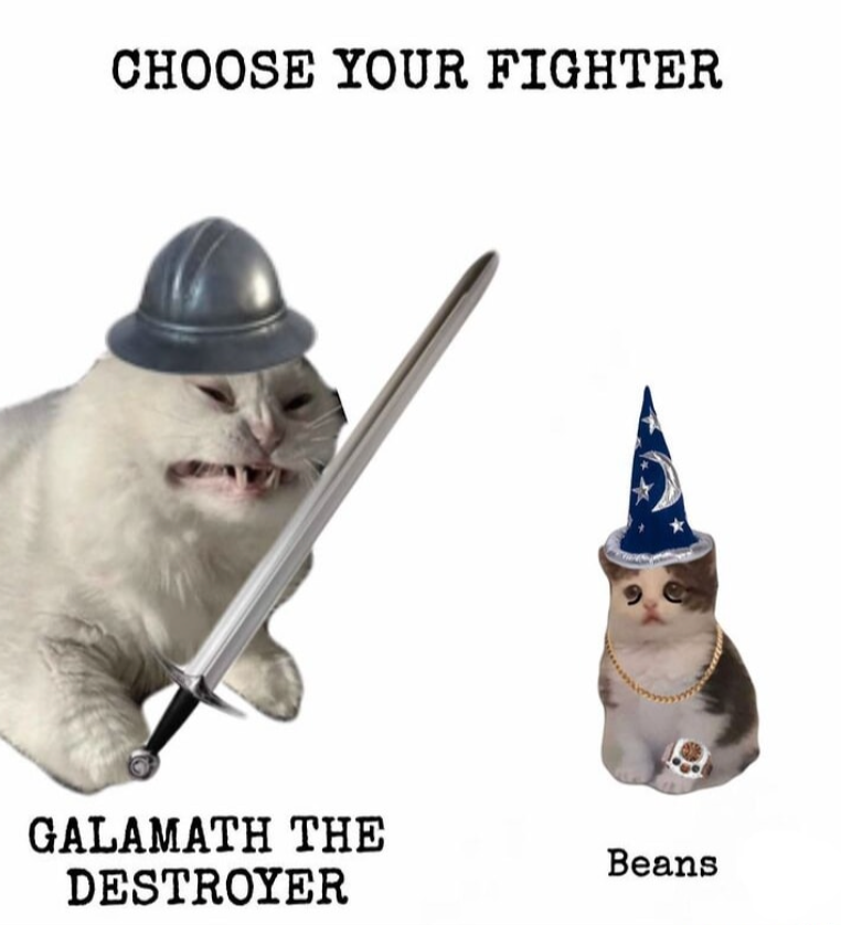 CHOOSE YOUR FIGHTER GALAMATH THE DESTROYER Beans