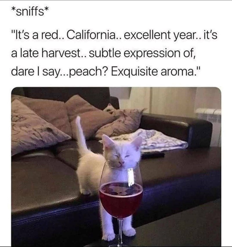 *sniffs* "It's a red.. California.. excellent year.. it's a late harvest.. subtle expression of, dare I say...peach? Exquisite aroma."