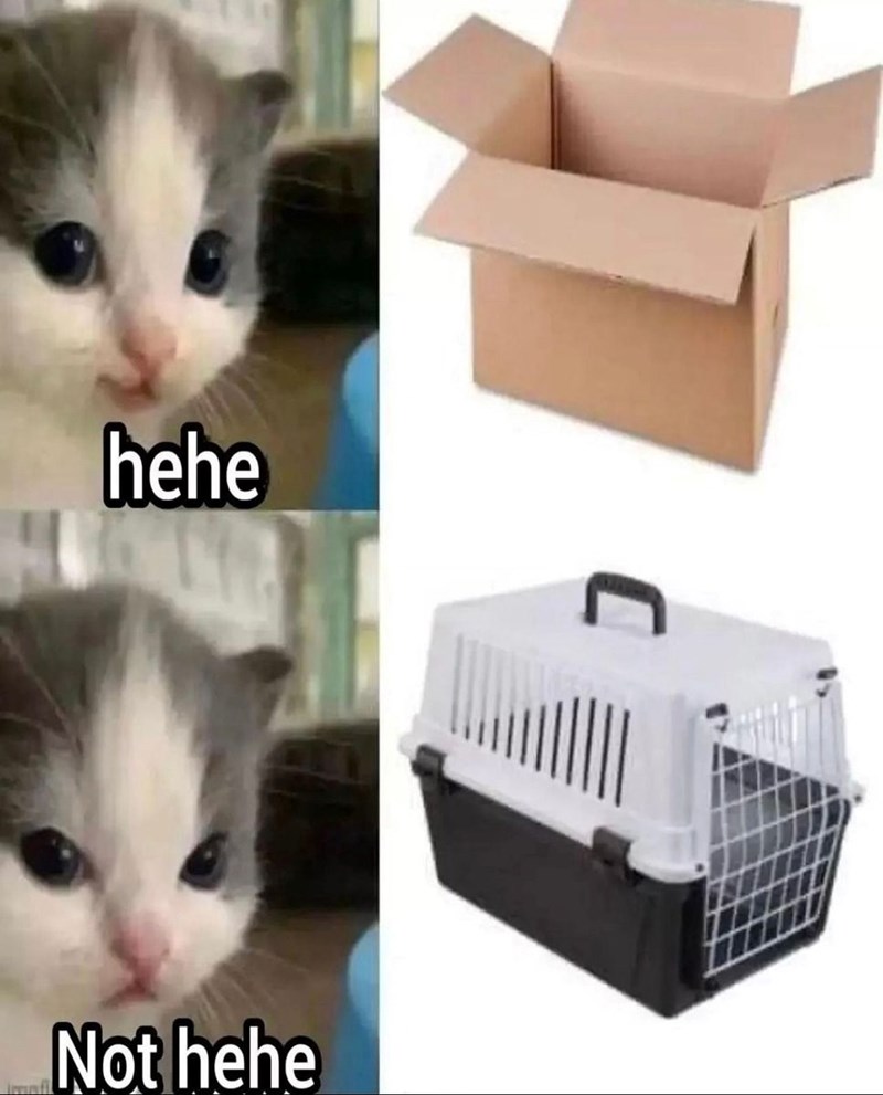 hehe Not hehe