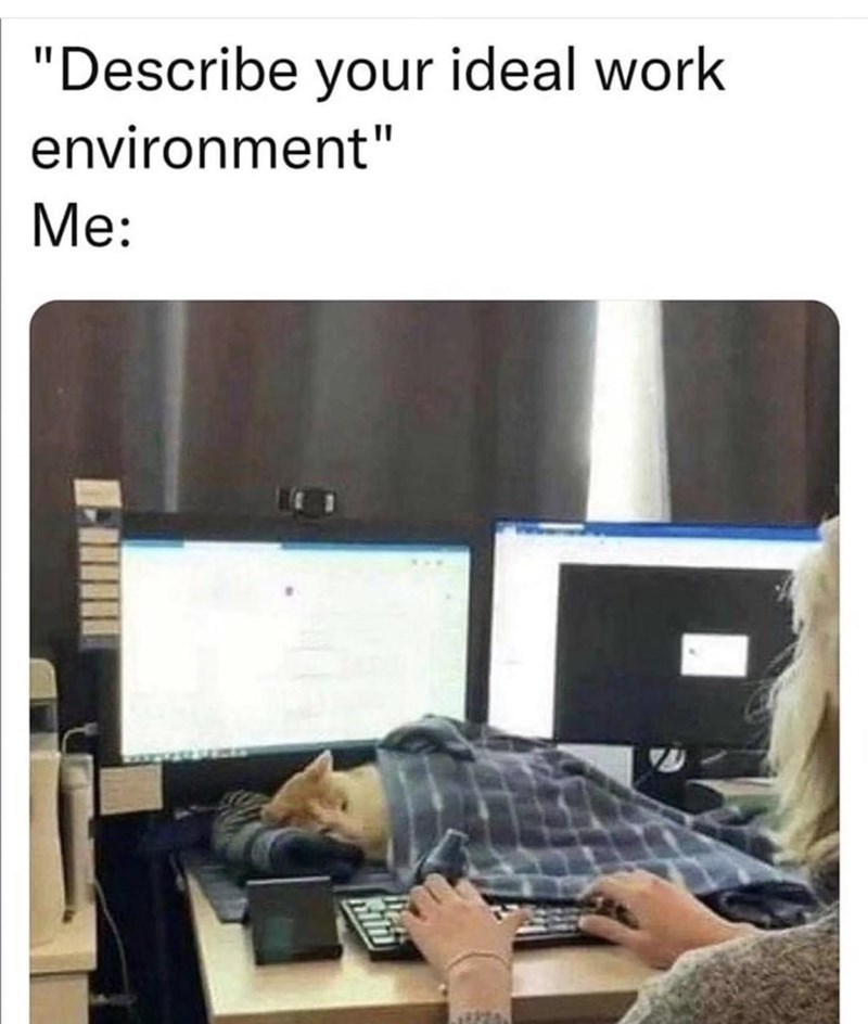 "Describe your ideal work environment" Me: