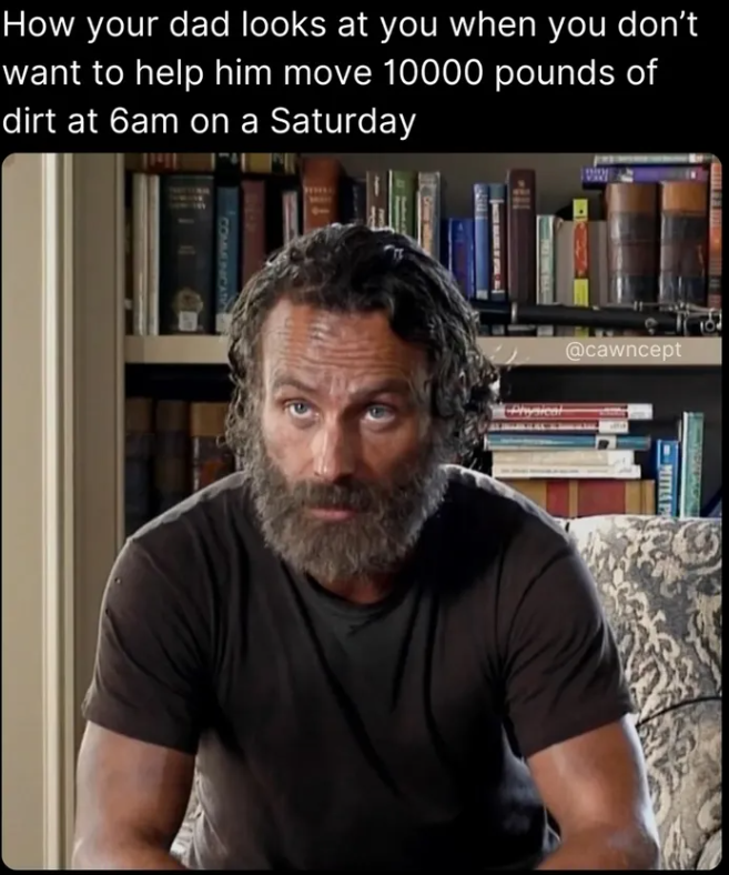 How your dad looks at you when you don't want to help him move 10000 pounds of dirt at 6am on a Saturday @cawncept Physical MITIA P