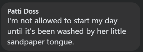 Patti Doss I'm not allowed to start my day until it's been washed by her little sandpaper tongue.