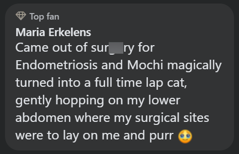 Top fan Maria Erkelens Came out of surry for Endometriosis and Mochi magically turned into a full time lap cat, gently hopping on my lower abdomen where my surgical sites were to lay on me and purr