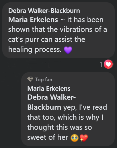 Debra Walker-Blackburn Maria Erkelens ~ it has been shown that the vibrations of a cat's purr can assist the healing process. 1 Top fan Maria Erkelens Debra Walker- Blackburn yep, I've read that too, which is why I thought this was so sweet of her