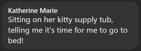 Katherine Marie Sitting on her kitty supply tub, telling me it's time for me to go to bed!