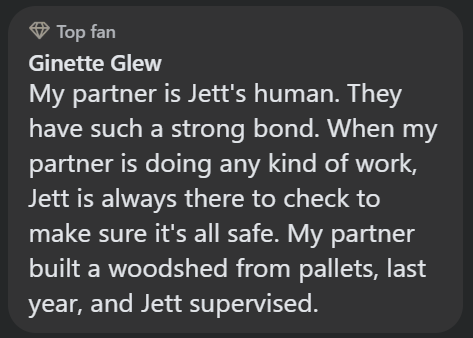 Top fan Ginette Glew My partner is Jett's human. They have such a strong bond. When my partner is doing any kind of work, Jett is always there to check to make sure it's all safe. My partner built a woodshed from pallets, last year, and Jett supervised.