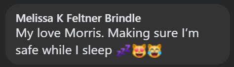 Melissa K Feltner Brindle My love Morris. Making sure I'm safe while I sleep 70