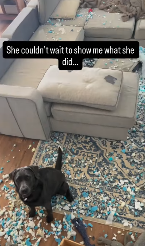 She couldn't wait to show me what she did...