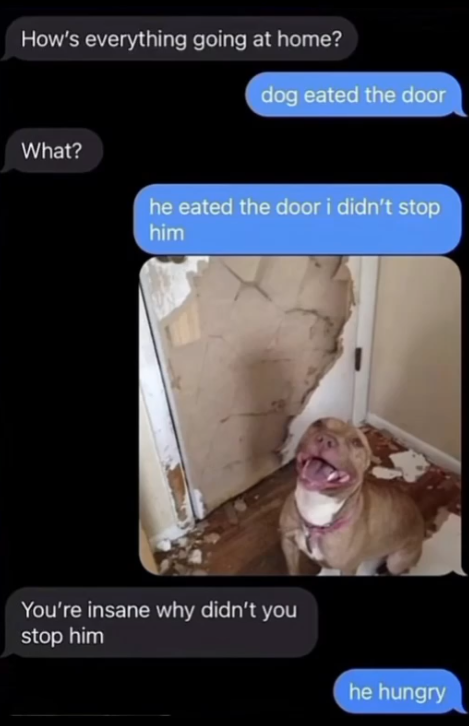 How's everything going at home? What? dog eated the door he eated the door i didn't stop him You're insane why didn't you stop him he hungry