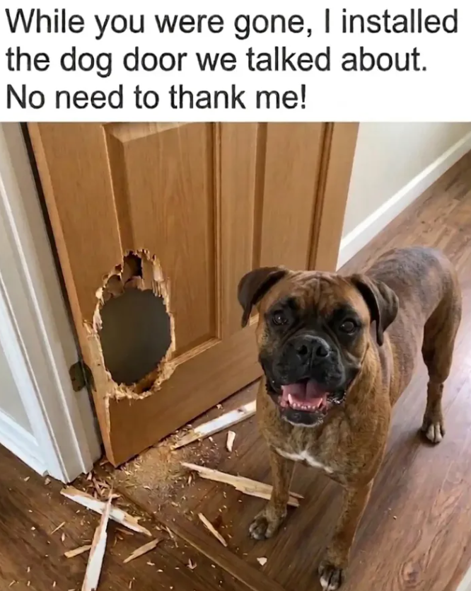 While you were gone, I installed the dog door we talked about. No need to thank me!
