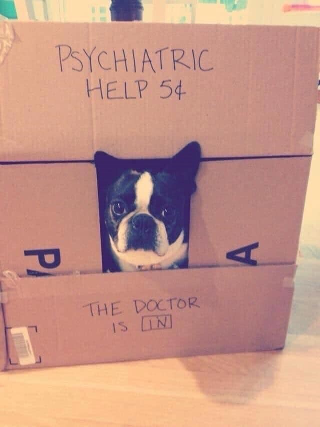 P PSYCHIATRIC HELP 54 THE DOCTOR IS IN A