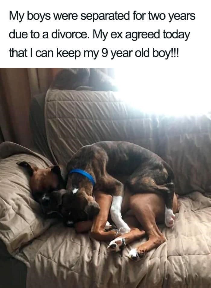 My boys were separated for two years due to a divorce. My ex agreed today that I can keep my 9 year old boy!!!