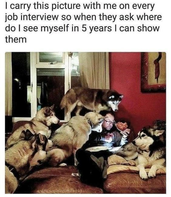 I carry this picture with me on every job interview so when they ask where do I see myself in 5 years I can show them
