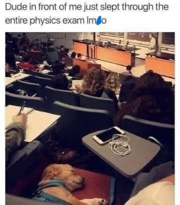 Dude in front of me just slept through the entire physics exam Imo