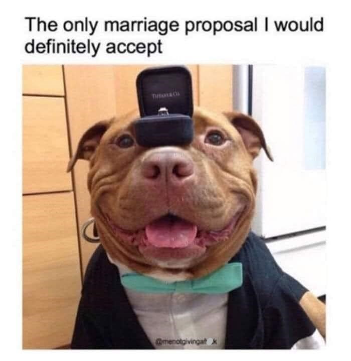 The only marriage proposal I would definitely accept menotgivingat