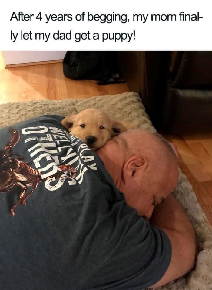 After 4 years of begging, my mom final- ly let my dad get a puppy! WELLY AY ORRENS